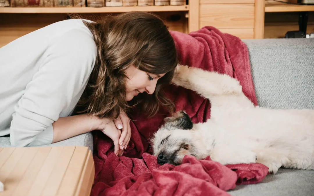 Was macht ein Tierkommunikator eigentlich?