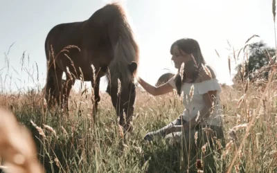 Tierkommunikation – Alles was du für den Anfang wissen solltest