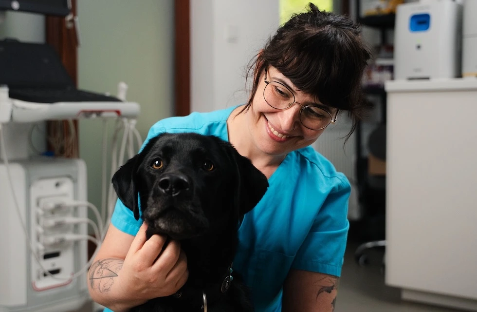 Online-Kurs: Erste-Hilfe-fuer-Hunde