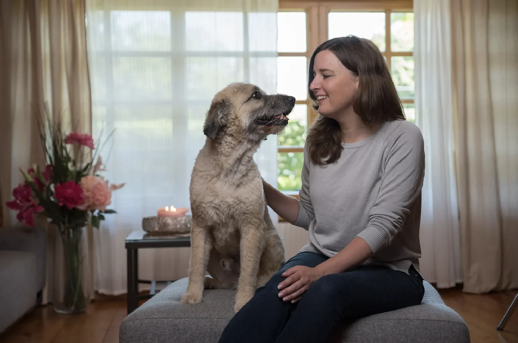 Meditieren mit Tieren – warum?