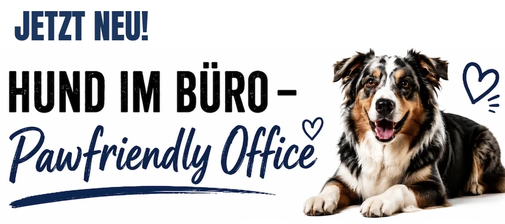Online Kurs Hund im Büro - Pawfriendly Office