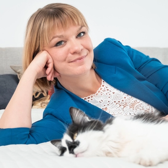 Online-Ausbildung: Katzenernährungsberatung