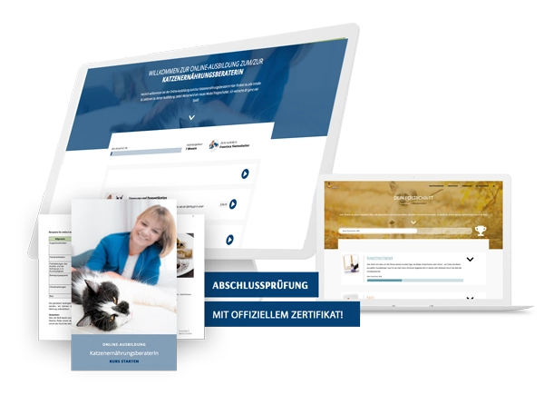 Online-Ausbildung: Katzenernährungsberatung