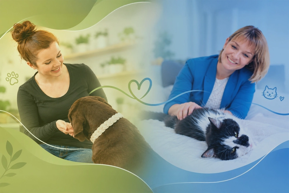 Hunde- & Katzenernährungsberater/in Dogtisch Academy